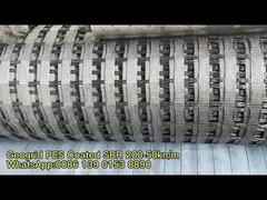 Polyester Geogrid