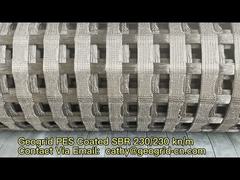 Soil Stabilization Warp Knitting Polyester Biaxial Geogrid Reinforcement for Civil Engineering
